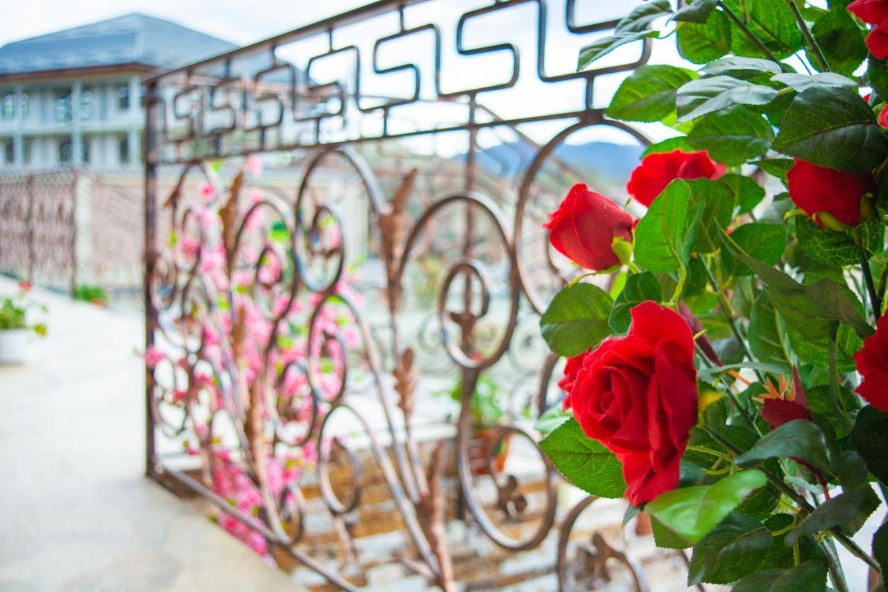 Casa Erk Bed & Breakfast คาลิมาเนช ภายนอก รูปภาพ